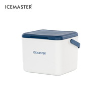 Icemaster 24L vente en gros extérieur blanc isolé Portable Mini refroidisseur fruits en plastique plage refroidisseurs glacière pour canettes