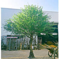 En stock Arbre artificiel Arbol Artificial, grand arbre artificiel vert (olivier, banian) pour hôtel, salon, maison
