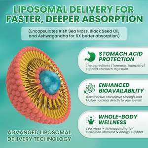 Tetesan cairan klorofil lumut laut dengan minyak biji hitam, Ashwagandha, <span class=keywords><strong>Moringa</strong></span>, kunyit, Elderberry, mulein untuk dukungan imun - Product Image 6