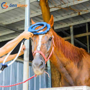 Equine PMST LOOP PEMF terapi lapangan elektromagnetik perawatan aman dan efektif mengurangi nyeri nyeri nyeri nyeri pada kuda - Product Image 3