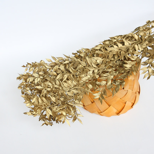 <span class=keywords><strong>Bouquet</strong></span> de fleurs séchées de haute qualité, très populaire, ruscus préservé, cadeau, matériel de bricolage, Saint-Valentin, Noël, décoration de la maison - Product Image 5