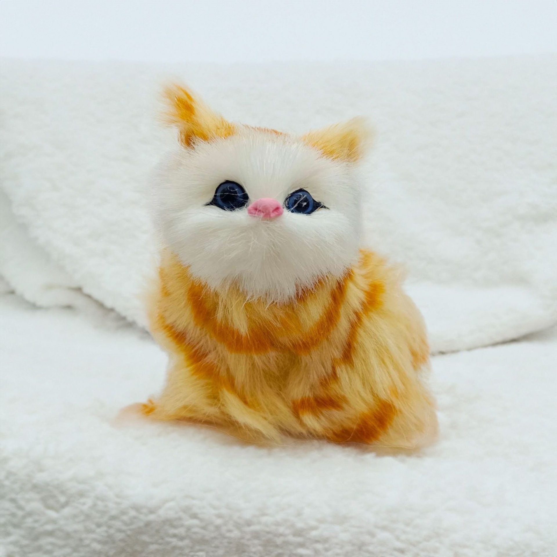 Gato naranja