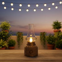 Lampe LED sans fil rechargeable USB-C, motif en résine peinte à la main, intensité réglable, abat-jour en verre cloche style ferme, décoration de Noël et de dîner, E26