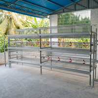Cage verticale à 4 niveaux en H galvanisée à chaud avec chariot d'alimentation automatique et système de collecte des œufs pour l'élevage de poules pondeuses