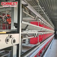 Système d'équipement de collecte d'œufs à boire à alimentation automatique complète Batterie Ferme de volaille Cage d'éleveur de couches pour poulailler