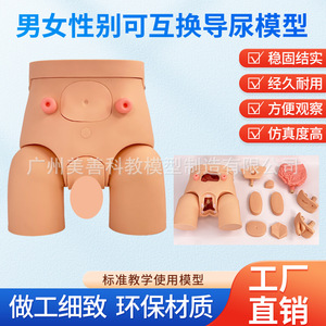 Molde para cateterización urinaria, cateterización urinaria avanzada para genitales internos y externos masculinos y femeninos, intercambiables. - Product Image 4