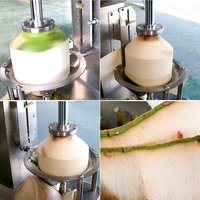 Machine d'épluchage de noix de coco de forme de diamant/machine de taille de noix de coco/jeune machine de décorticage de noix de coco