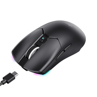 Souris sans fil Havit MS974WB 2.4G, souris de jeu RGB pour joueur, rechargeable, programmable, ergonomique