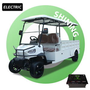 Voiture de <span class=keywords><strong>golf</strong></span> électrique personnalisable Shininglsv à 2 places, 72V, construction en métal à plateau plat, moteur AC 5KW, autonomie de 70 à 90 km, certifiée CE/DOT - Product Image 1