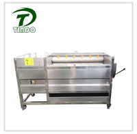 Machine automatique à haute productivité pour le pelage du manioc, machine à nettoyer les carottes à rouleaux brosse, éplucheuse d'oignons pour légumes