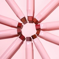 Crayon à lèvres imperméable longue durée avec logo personnalisé, vegan, lisse, haute pigmentation, rose brun, 2 en 1, rouge à lèvres et crayon à lèvres