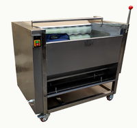 Laveuse industrielle à rouleaux pour fruits et légumes – Machine de lavage et de nettoyage efficace pour pommes de terre, taro, carottes, radis, gingembre