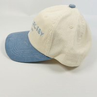 2024 nuevo estilo dos tonos Color PANA papá sombrero 6 paneles sombreros algodón papá sombrero gorras de béisbol hombres fabricante personalizado deporte papá gorra