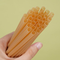 Pailles jetables en canne à sucre de 8,5 pouces pour smoothies, compostables, écologiques, pailles jumbo pour thé aux perles et lait.