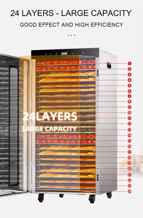 dehydrator for vegetables