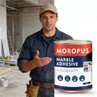 Adhésif époxy bicomposant à séchage rapide pour pierre, résistant aux intempéries, colle pour marbre, céramique et pierre pour la construction