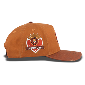 Casquettes de baseball à 5 panneaux personnalisées TCAP Chine, broderie, coton, casquettes de sport - Product Image 3
