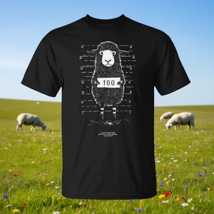 Camiseta Lost Sheep: I Once Was Lost But Now I Am Found - Product Image 3