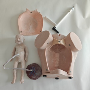 Modelo de Enseñanza de Parto Manual Avanzado, Simulador de Parto de <span class=keywords><strong>Obstetricia</strong></span> <span class=keywords><strong>y</strong></span> <span class=keywords><strong>Ginecología</strong></span> - Product Image 2