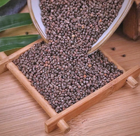 Graines de Perilla Zi Su Zi Séchées, Granulés d'Herbes Chinoises Brutes de Haute Qualité, Compléments Alimentaires et de Santé