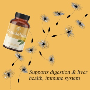 Capsules de racine de pissenlit biologique pure, 530 mg, racine de pissenlit séchée, produits naturels complets - Product Image 3
