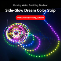 Bande LED 12V à émission latérale, largeur 5mm, pleine couleur, WS2812B, puce 5050, flexible, adressable, programmable, alimentée par USB, en ABS