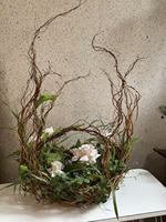 Branches naturelles bouclées de qualité export pour la décoration florale architecturale, les halls d'hôtel et les événements – Saule Dragon Salix fraîchement coupé
