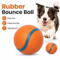Programme de vente en gros : Balle élastique en TPE pour animaux de compagnie, disponible en deux tailles, pour le jeu de rapport du chien et la poursuite par le chat, et pour la distribution au détail