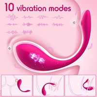 9 Vibrationsmodi APP-Fernbedienung Anal/G-Punkt Tragbarer Slip-Vibrator für Frauen