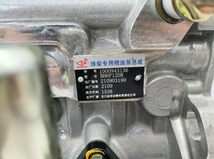 ปั๊มฉีดน้ำมันเชื้อเพลิง2ขาผู้ว่าการรุ่นแรงดันสูง BH6P120R/1000943136 - Product Image 4