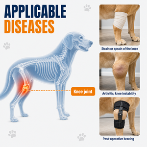 Attelle de genou pour chien durable, respirante, avec charnière élastique, pour la protection post-opératoire des membres arrière et le soutien articulaire des animaux de compagnie - Product Image 4