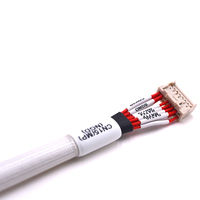 Adaptateur de faisceau de câbles de signalisation de batterie en cuivre étamé personnalisable avec étiquetage clair pour pack de batteries de véhicules électriques et stockage d'énergie