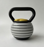 Kettlebell réglable 20LB/40LB avec plaques, poids libre, pour exercices de fitness, entraînement à domicile et musculation – Vente en gros