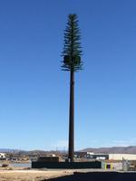 Torre de Telecomunicaciones Camuflada Tipo Árbol Biónico para 4G/5G, Mástil de Acero Galvanizado en Caliente con Tubo Redondo para Zonas Residenciales, Parques y Áreas Escénicas