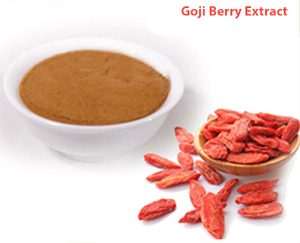 Экстракт плодов ликии барбарской (годжи) 40% полисахаридов, порошок, для поддержки иммунитета взрослых - Product Image 2