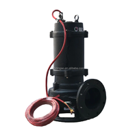 Pompe électrique pour broyeur d'eaux usées en acier inoxydable Pompe à eau pour agitateur d'eaux usées submersible chimique avec agitateur