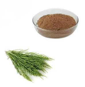 Kozmetik için saf doğal atkuyruğu özü 10:1 20:1 30:1 50:1 atkuyruğu çim özü - Product Image 1