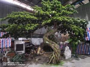 Cây Bonsai nhân tạo 100% thủ công, kích thước lớn 3m*2m, cây thông <span class=keywords><strong>Cypress</strong></span> xanh dùng trang trí nội thất nhà cửa - Product Image 4