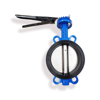 Válvula de Mariposa Manual de Hierro Dúctil de Temperatura Media PN10 PN16 con Asiento de EPDM Tipo Wafer DN40-DN1200 para Agua