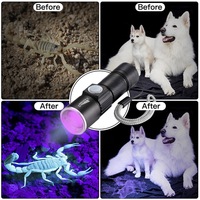 Lampe de poche LED rechargeable par USB 4 modes de travail Zoom 395NM pour vérification des pierres précieuses Lampe à urine pour animaux de compagnie