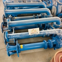 Pompe centrifuge submersible pour boues, robuste, conception verticale, pour l'exploitation minière, en alliage de chrome élevé, résistance à l'usure longue durée
