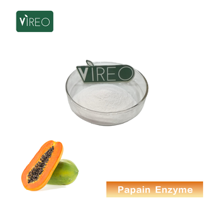Bột Enzyme Papain Dùng Cho Thịt Và Bia, Chiết Xuất <span class=keywords><strong>Papaya</strong></span> Latex, Papain Thực Phẩm, Hợp Chuẩn Halal - Product Image 1