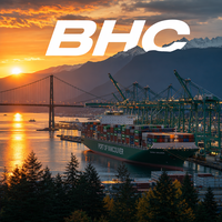 Agent de transport de fret porte-à-porte BHC FCL LCL Chine-USA – Transport spécial et support d'exportation de marchandises sensibles