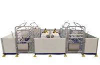 Caisses de truie de mise bas à double corps de style européen galvanisées à chaud pour les Offre Spéciale d'élevage porcin