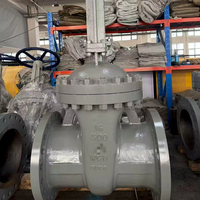 Válvula de Compuerta de Acero Inoxidable de Alta Resistencia 316L de 12 Pulgadas Clase 300 con Brida RTJ y Vástago Ascendente Atornillado