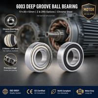 Roulement à billes à gorge profonde 6003 6203 6303 2RS ZZ pour moto et matériel de moteur, unité de haute précision, fournisseur en gros