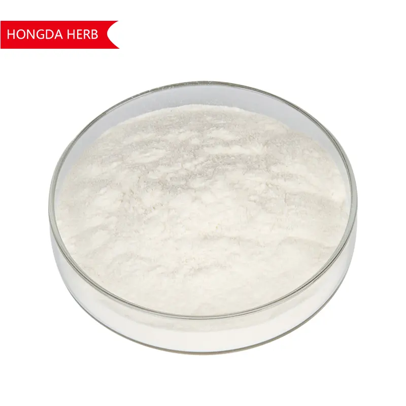 ISO fabbrica fornitura di materie prime cosmetiche acido Hayluronic 99% CAS9004-61-9 acido Hayluronic in polvere