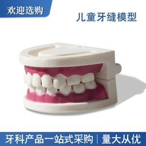 Equipo y Accesorios de Terapia Oral, Modelo Dental de Resina, Modelo de Práctica de Dentadura, Modelo de Dientes con Espacio para Práctica Dental - Product Image 4