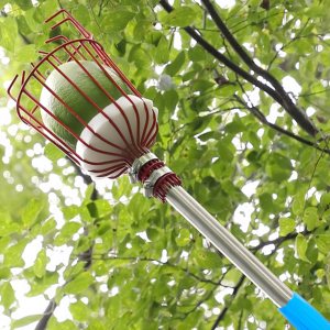 Outil de jardin en aluminium à <span class=keywords><strong>manche</strong></span> télescopique, cueilleur de fruits en métal <span class=keywords><strong>avec</strong></span> coussin en éponge, bricolage durable - Product Image 6