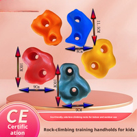Mur d'escalade en plastique PP pour enfants et adultes, idéal pour l'intérieur et l'extérieur, pour le jardin, l'école, la maison de jeux, l'aéroport, les parcs d'attractions